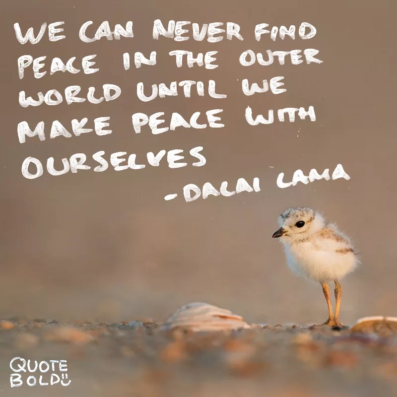 peace-mind-quotes-dalai-lama.jpg